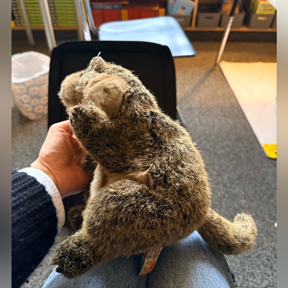 Folkmanis Plush groundhog hand puppet Toy for Small Pets